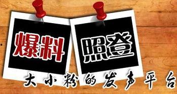 新闻爆料的平台