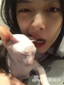 娱乐吃瓜酱虐猫